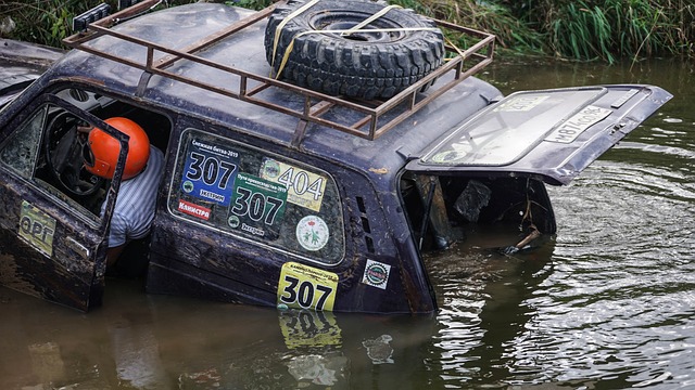 对于库克而 对于库克而