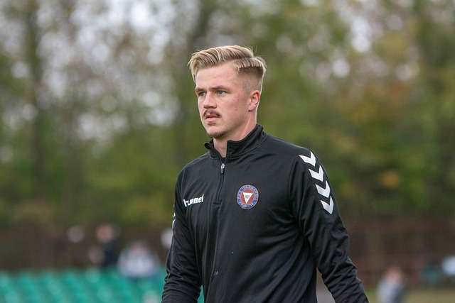 冬会成为冬 冬会成为冬